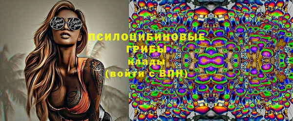 круглые Ельня