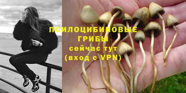 круглые Ельня