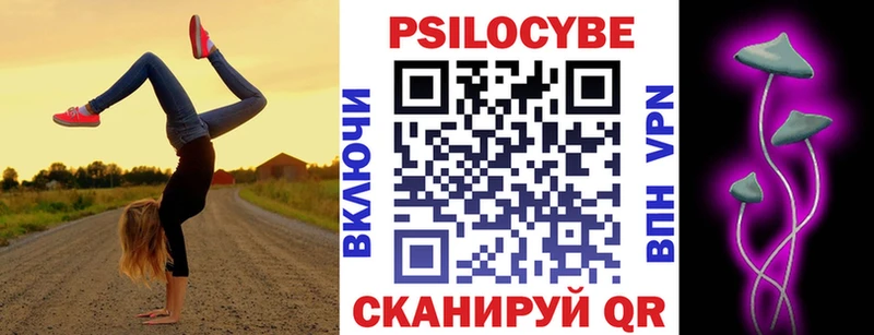 Купить где  Новочеркасск  Галлюциногенные грибы мицелий 